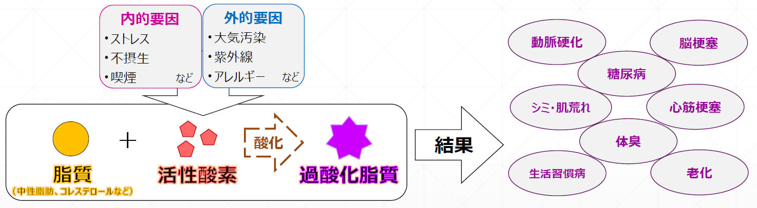 過酸化物質がもたらす悪影響